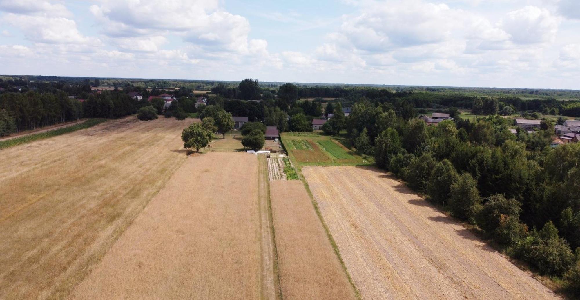 Agroturystyka Kraina Jezior Ludwin Dış mekan fotoğraf
