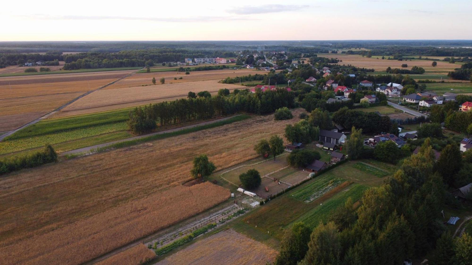 Agroturystyka Kraina Jezior Ludwin Dış mekan fotoğraf