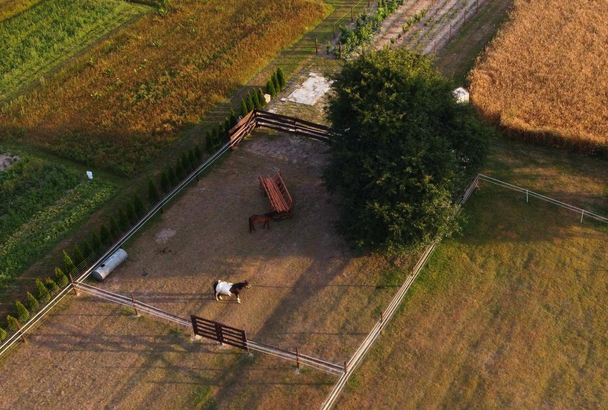 Agroturystyka Kraina Jezior Ludwin Dış mekan fotoğraf